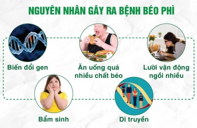 Top 7 nguyên nhân gây béo phì phổ biến hiện nay