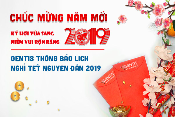 nghỉ lễ tết 2019