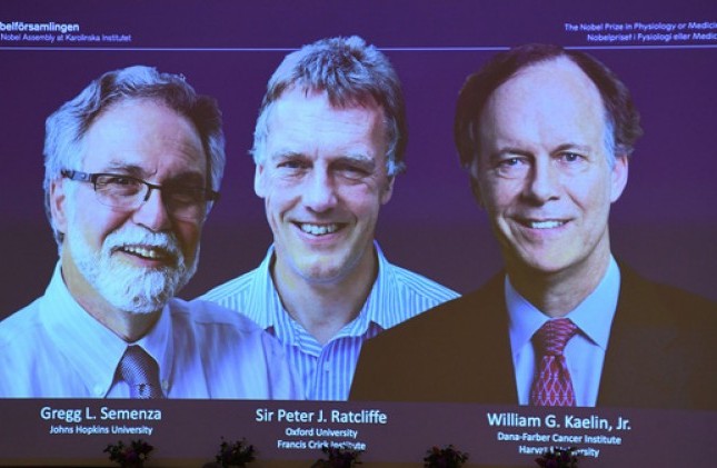 Nobel Y Sinh 2019 vinh danh khám phá về tế bào