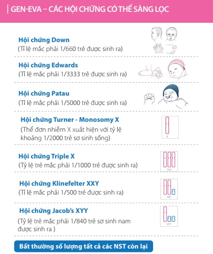 Lệch Bội Nhiễm Sắc Thể Là Gì? Tìm Hiểu Tác Động và Nguyên Nhân