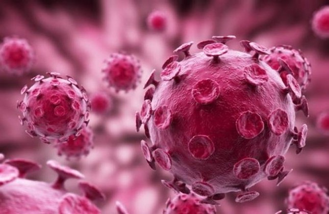 Virus HPV có trong máu không và con đường lây truyền của HPV