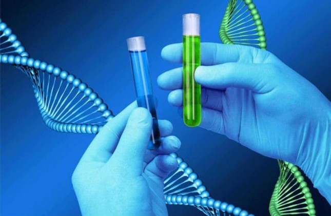 Bật mí địa chỉ xét nghiệm ADN tại Ninh Bình có chứng nhận pháp lý