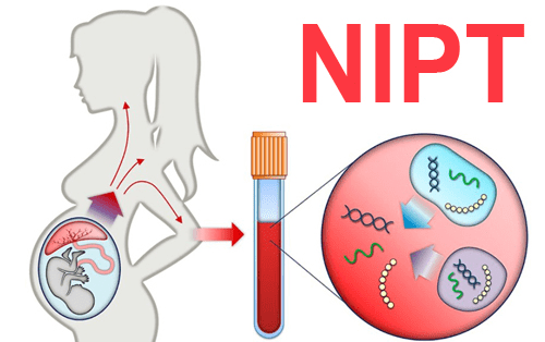 Thai 8 Tuần Xét Nghiệm NIPT Được Không? - Giải Đáp Toàn Diện để Yên Tâm Chào Đón Bé Yêu