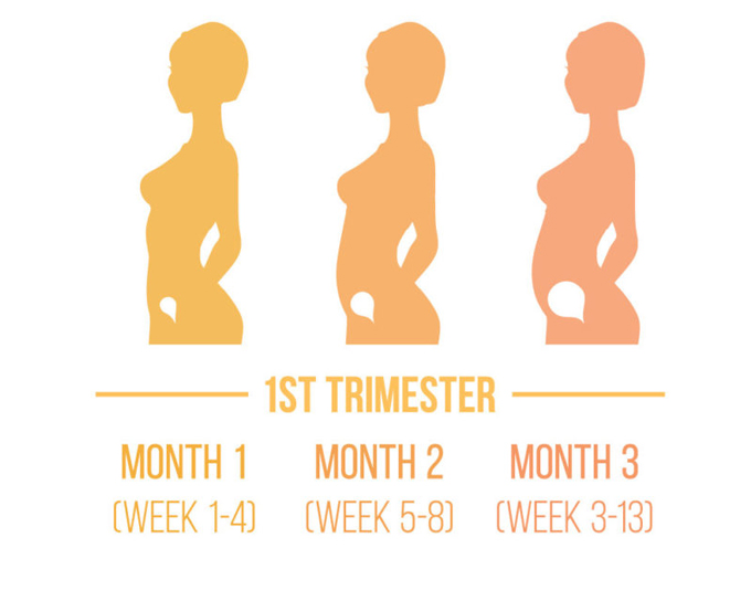 Các giai đoạn quan trọng để phát hiện dị tật thai nhi