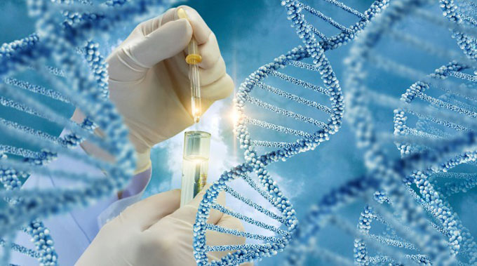 DNA có những chức năng gì trong quá trình di truyền?
