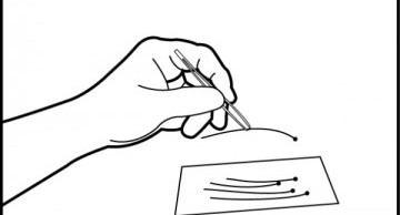 xét nghiệm adn bằng tóc