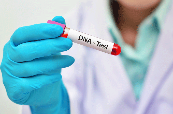Xét nghiệm ADN thai nhi có thể thực hiện từ tuần thai 8