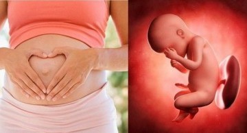 dị tật bẩm sinh về thận