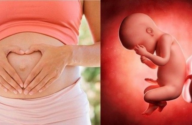 dị tật bẩm sinh về thận