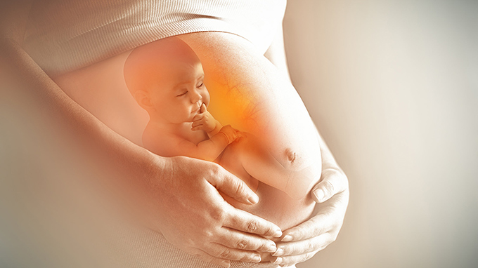 Tại sao khoảng từ 12 - 13 tuần của thai kỳ được cho là thời điểm tốt nhất để đi khám sàng lọc?
