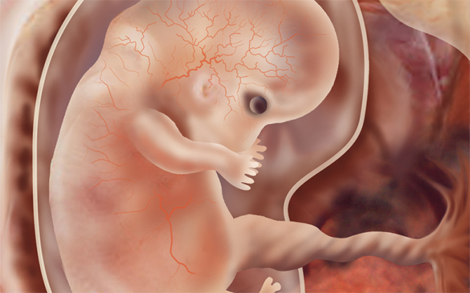 Những biểu hiện nào trong siêu âm thai ở tuần thứ 7-10 có thể gây lo lắng cho người mẹ?