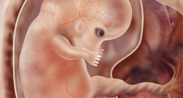 Phát hiện dị tật thai nhi tuần thứ 7