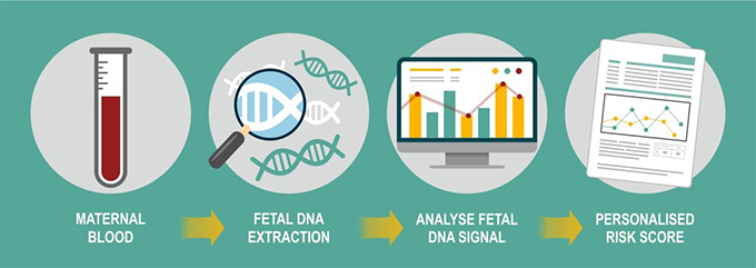Các bước sàng lọc trước sinh của phương pháp NIPT