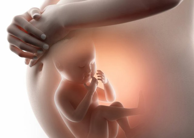 Những dị tật thai nhi thường được sàng lọc và phát hiện?
