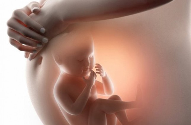 Quy trình sàng lọc thai nhi