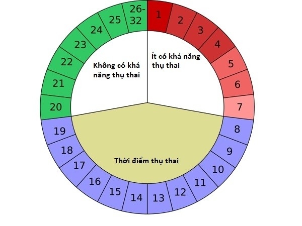 Canh ngày rụng trứng để sinh con trai 