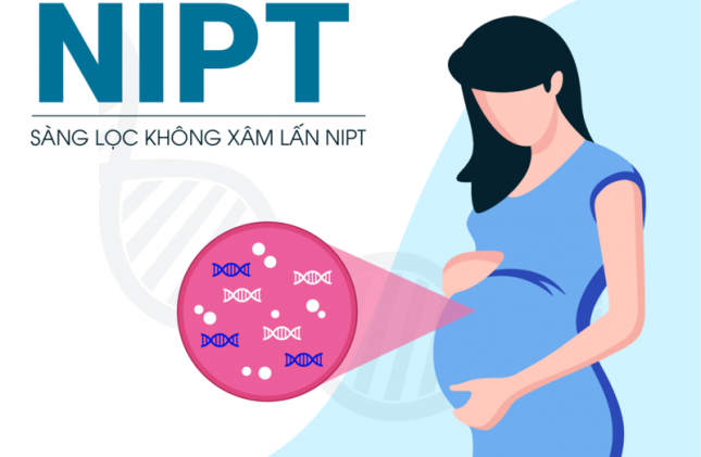 Xét nghiệm nipt ở Đà Nẵng
