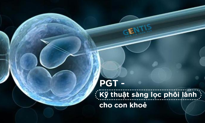 Cần lưu ý gì khi thực hiện quá trình sàng lọc phôi trữ đông?
