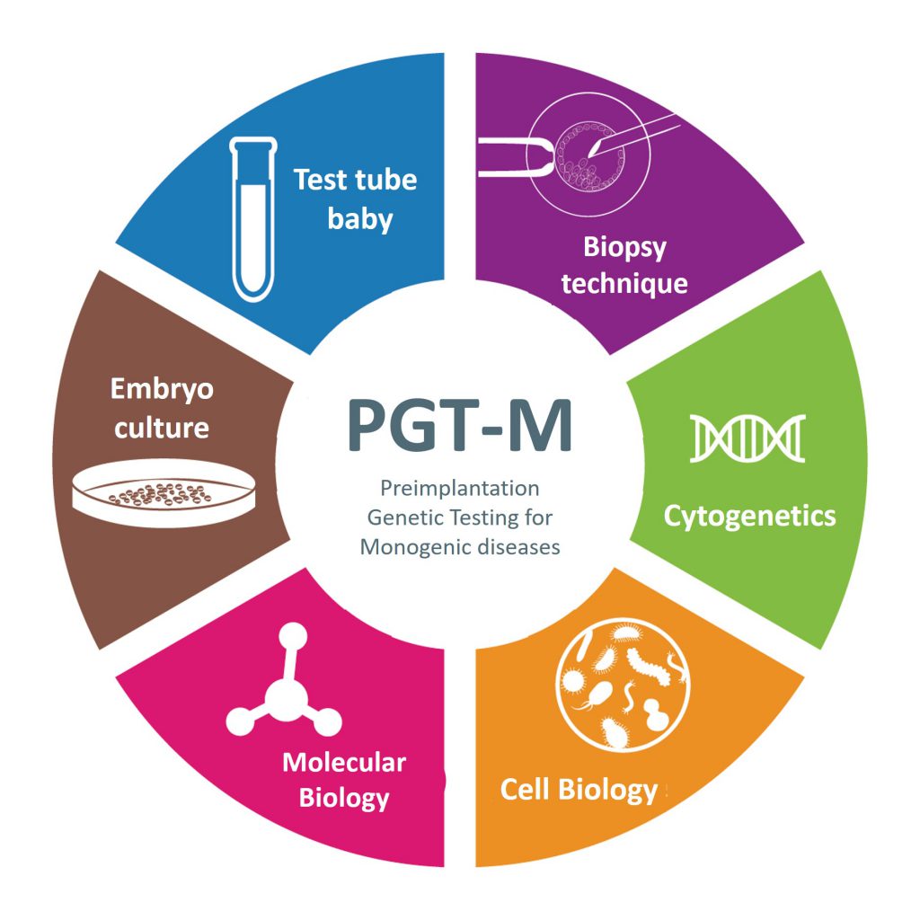 Application Of Pgt M Test In Preimplantation Embryo Screening 7824