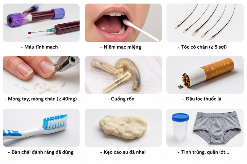 C&aacute;c mẫu x&eacute;t nghiệm ADN ch&uacute; ch&aacute;u