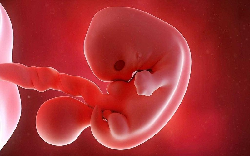X&eacute;t nghiệm ADN thai nhi kh&ocirc;ng x&acirc;m lấn c&oacute; thể thực hiện từ tuần thứ 7