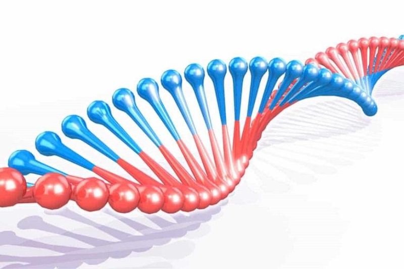Xét nghiệm ADN có chính xác không