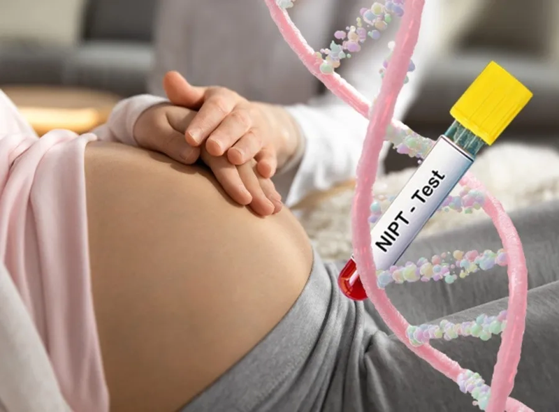 NIPT ph&acirc;n t&iacute;ch ADN tự do của thai nhi trong m&aacute;u mẹ để đ&aacute;nh gi&aacute; nguy cơ thai nhi mắc bất thường NST