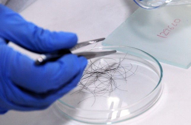 Tôi có thể xét nghiệm ADN bằng tóc không?